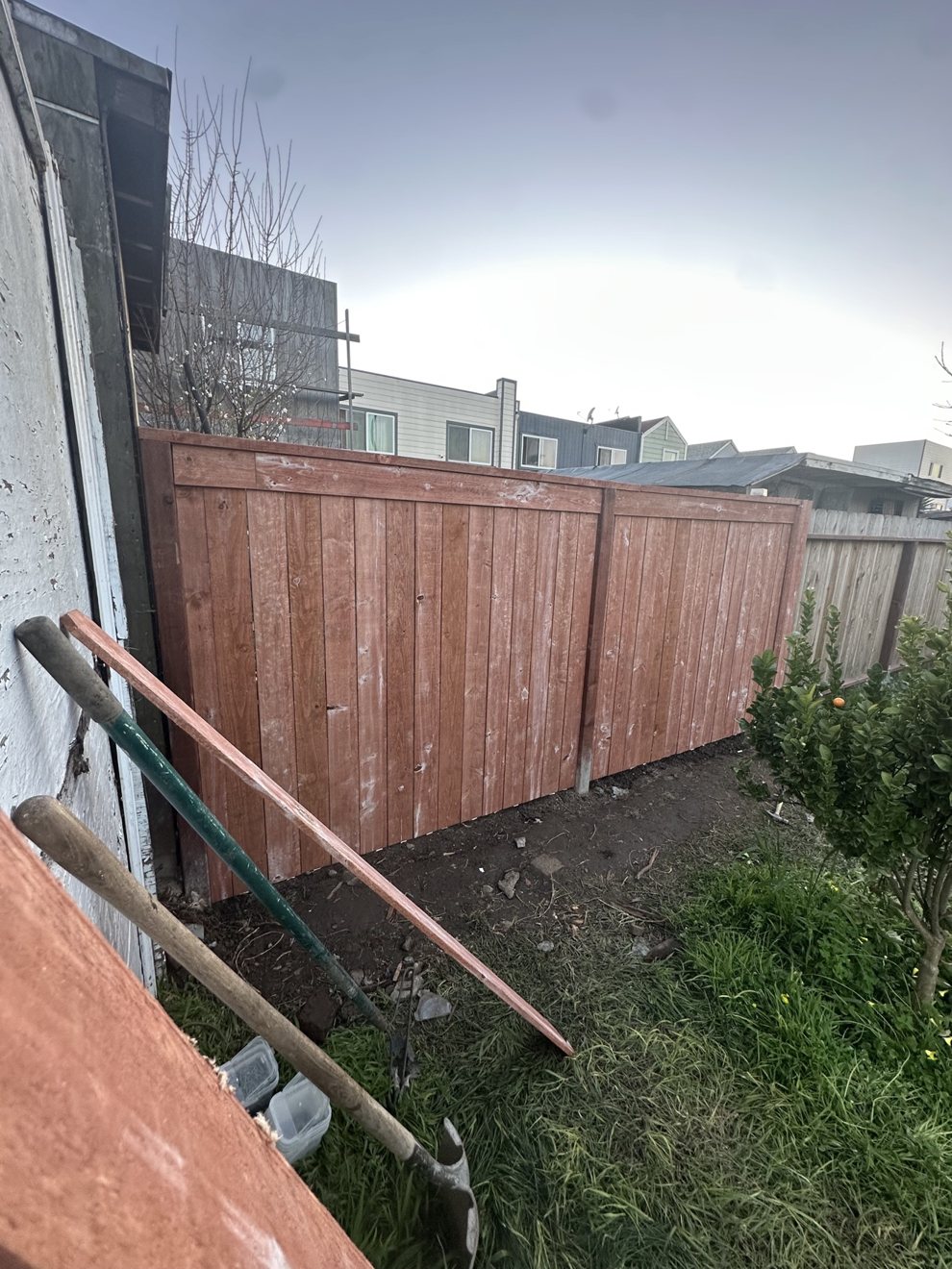 Fresh redwood fence boards installed in a backyard