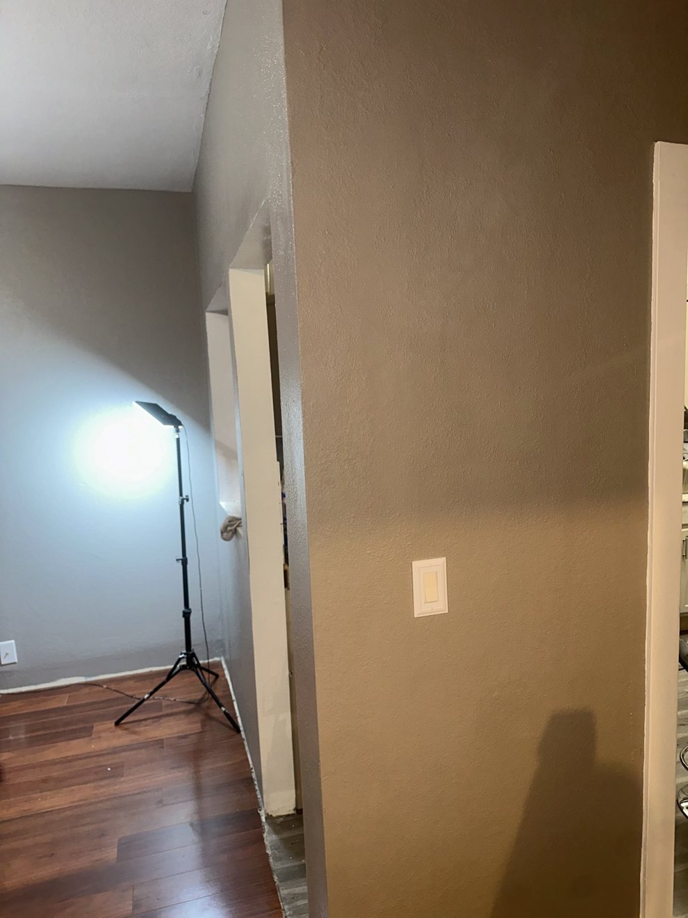 Freshly painted wall with a new rocker light switch installed